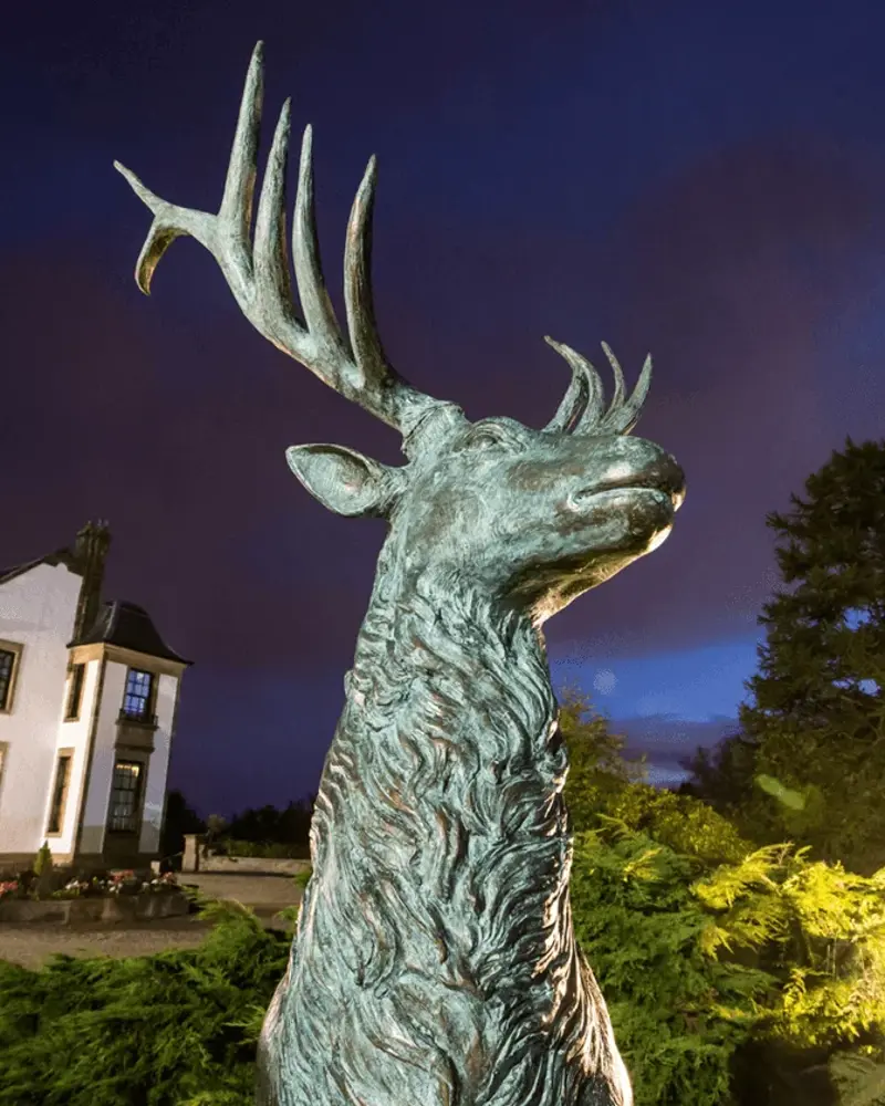 Christmas Residential Packages